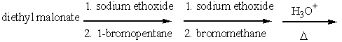 Predict the final product for the following reaction sequence.   A)  2-methylheptanoic acid B)  3-methylhexanoic acid C)  3-methylpentanoic acid D)  2-methylpentanoic acid E)  ethyl 2-methylheptanoate