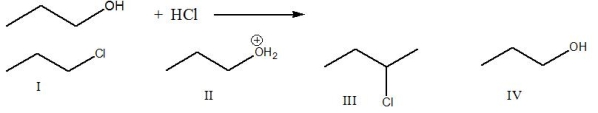 Predict the product for the following reaction.   A)  I B)  II C)  III D)  IV E)  None of these