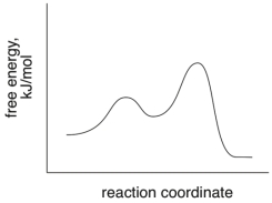 Based on the following energy diagram, is the reaction exothermic or endothermic?  