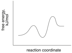 Based on the following energy diagram, is the reaction exothermic or endothermic?  