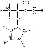 Histidine an amino acid has the following structure. Circle the three most acidic protons in histidine.  