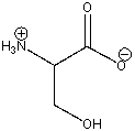 Draw all lone pairs of electrons for the following compound.  