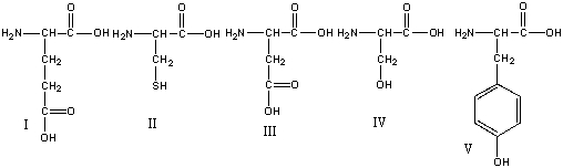 Which of the following amino acids have an acidic side chain?   A)  I & III B)  I, II & III C)  IV & V D)  II, IV & V E)  all of these