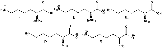 Which of the following is the predominant form of lysine at pH 14?   A)  I B)  II C)  III D)  IV E)  V