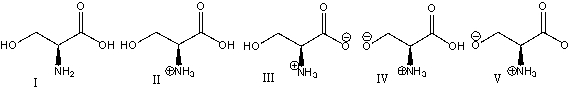 Which of the following is the predominant form of serine at physiological pH?   A)  I B)  II C)  III D)  IV E)  V