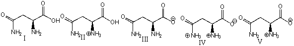 Which of the following is the predominant form of asparagine at physiological pH?   A)  I B)  II C)  III D)  IV E)  V