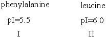 Provide the structure of the predominant form of the following amino acids at pH 6 and predict the migration towards anode or cathode during electrophoresis.  