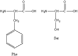 Provide a stepwise synthesis for the dipeptide Ser-Phe.  