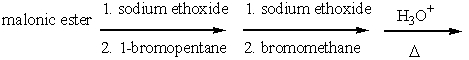 Predict the final product for the following reaction sequence.   A) 2-methylheptanoic acid B) 3-methylhexanoic acid C) 3-methylpentanoic acid D) 2-methylpentanoic acid E) ethyl 2-methylheptanoate