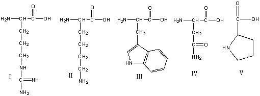 Which of the following amino acids have a basic side chain?   A) I & II B) I,II & IV C) III & V D) I,II,III & IV E) all of these