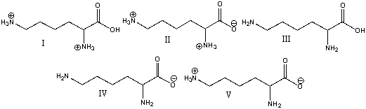 Which of the following is a predominant form of lysine at pH 14?   A) I B) II C) III D) IV E) V