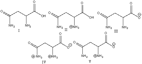 Which of the following is a predominant form of asparagine at physiological pH?   A) I B) II C) III D) IV E) V