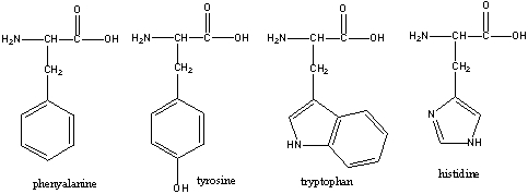 Chymotrypsin,a digestive enzyme,catalyzes the hydrolysis of the peptide bond at the carboxyl end of which of the following amino acids?   A) phenylalanine B) tyrosine C) tryptophan D) histidine E) A,B & C