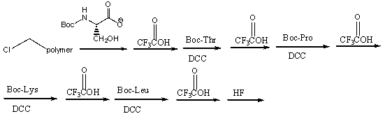 Which of the following is the correct sequence for the pentapeptide that is formed by the following reaction sequence?   A) Ser-Thr-Pro-Lys-Leu B) Leu-Lys-Pro-Thr-Ser C) Thr-Thr- Pro-Lys-Leu D) none of these