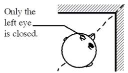Two plane mirrors are connected perpendicular to each other, as shown in the figure.If a person looks into the corner at the image straight ahead of him and closes his left eye as shown, which one of the following statements is true?   A) The left eye of the image is closed. B) The right eye of the image is closed. C) Both eyes of the image are open. D) Both eyes of the image are closed. E) There is no image straight ahead of him, so this question is meaningless.