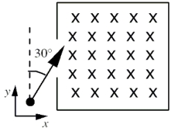 An electron enters a region that contains a magnetic field directed into the page as shown.The velocity vector of the electron makes an angle of 30° with the +y axis.What is the direction of the magnetic force on the electron when it enters the field?   A) up, out of the page B) at an angle of 30° below the positive x axis C) at an angle of 30° above the positive x axis D) at an angle of 60° below the positive x axis E) at an angle of 60° above the positive x axis