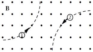 Two particles move through a uniform magnetic field that is directed out of the plane of the page.The figure shows the paths taken by the two particles as they move through the field.The particles are not subject to any other forces or fields.Which one of the following statements concerning these particles is true?   A) The particles may both be neutral. B) Particle 1 is positively charged; 2 is negative. C) Particle 1 is positively charged; 2 is positive. D) Particle 1 is negatively charged; 2 is negative. E) Particle 1 is negatively charged; 2 is positive.