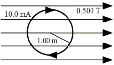 A single circular loop of radius 1.00 m carries a current of 10.0 mA.It is placed in a uniform magnetic field of magnitude 0.500 T that is directed parallel to the plane of the loop as suggested in the figure.What is the magnitude of the torque exerted on the loop by the magnetic field?   A) 1.57 × 10<sup>-</sup><sup>2</sup> N .m B) 3.14 × 10<sup>-</sup><sup>2</sup> N .m C) 6.28 × 10<sup>-</sup><sup>2</sup> N . m D) 9.28 × 10<sup>-</sup><sup>2</sup> N .m E) zero N . m