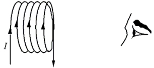 A coil of wire carries current I as shown in the figure.If the observer could  see  the magnetic field inside this arrangement of loops, how would it appear?     A) a B) b C) c D) d E) e