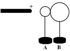 <strong>Two uncharged, conducting spheres, A and B, are held at rest on insulating stands and are in contact.A positively charged rod is brought near sphere A as suggested in the figure.While the rod is in place, someone moves sphere B away from A.How will the spheres be charged, if at all?    </strong> A)   B)   C)   D)   E)   <div style=padding-top: 35px> 