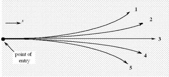 <strong>18-2 Five particles are shot from the left into a region that contains a uniform electric field.The numbered lines show the paths taken by the five particles.A negatively charged particle with a charge -3Q follows path 2 while it moves through this field.Do not consider any effects due to gravity. In which direction does the electric field point?</strong> A)toward the top of the page B)toward the left of the page C)toward the right of the page D)toward the bottom of the page E)out of the page, toward the reader