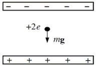 A helium nucleus is located between the plates of a parallel-plate capacitor as shown.The nucleus has a charge of +2e and a mass of 6.6 × 10<sup>-</sup><sup>27 </sup>kg.What is the magnitude of the electric field such that the electric force exactly balances the weight of the helium nucleus so that it remains stationary?   A) 4.0 × 10<sup>-</sup><sup>7 </sup>N/C B) 6.6 × 10<sup>-</sup><sup>26 </sup>N/C C) 2.0 × 10<sup>-</sup><sup>7 </sup>N/C D) 5.0 × 10<sup>-</sup><sup>3 </sup>N/C E) 1.4 × 10<sup>-</sup><sup>8 </sup>N/C