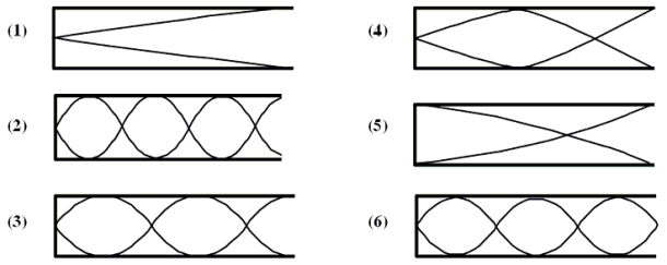 17-6 The figures show standing waves of sound in six organ pipes of the same length.Each pipe has one end open and the other end closed.Note: some of the figures show situations that are not possible.   -Which of the figures do not illustrate possible resonant situations? A) 1 and 4 B) 2 and 3 C) 4 and 5 D) 5 and 6 E) 4, 5, and 6