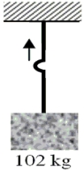   The displacement of a vibrating string versus position along the string is shown in the figure.The periodic waves have a speed of 10.0 cm/s.A and B are two points on the string.   -A steel wire of mass 0.400 kg and length 0.640 m supports a 102-kg block.The wire is struck exactly at its midpoint causing a small displacement.How long does it take the peak of this displacement to reach the top of the wire?   A) 2.00 × 10<sup>-</sup><sup>3</sup> s B) 4.00 × 10<sup>-</sup><sup>3</sup> s C) 6.00 × 10<sup>-</sup><sup>3</sup> s D) 8.00 × 10<sup>-</sup><sup>3</sup> s E) 1.60 × 10<sup>-</sup><sup>2</sup> s