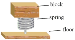 A 0.800-kg block is placed on top of a vertically oriented spring as shown.The block is not attached to the spring, but the spring is attached to the floor.The block oscillates in simple harmonic motion.If the spring constant is 95.0 N/m, determine the amplitude at which the block loses contact with the spring.   A) 0.0505 m B) 0.0615 m C) 0.0735 m D) 0.0825 m E) 0.0945 m