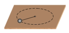 A ball of mass M moves in a circular path on a horizontal, frictionless surface.It is attached to a light string that passes through a hole in the center of the table.If the string is pulled down, thereby reducing the radius of the path of the ball, the speed of the ball is observed to increase.Complete the following sentence: This occurs because   A) the linear momentum of the ball is conserved. B) it is required by Newton's first law of motion. C) the angular momentum of the ball is conserved. D) the angular momentum of the ball must increase. E) the total mechanical energy of the ball must remain constant.