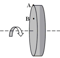 Two points are located on a rigid wheel that is rotating with decreasing angular velocity about a fixed axis.Point A is located on the rim of the wheel and point B is halfway between the rim and the axis.Which one of the following statements concerning this situation is true?   A) Both points have the same centripetal acceleration. B) Both points have the same tangential acceleration. C) The angular velocity at point A is greater than that of point B. D) Both points have the same instantaneous angular velocity. E) Each second, point A turns through a greater angle than point B.