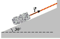 A rope holds a 10-kg rock at rest on a frictionless inclined plane as shown.   -Which one of the following statements concerning the force exerted on the plane by the rock is true? A) It is 0 N. B) It is 98 N. C) It is greater than 98 N. D) It is less than 98 N, but greater than zero newtons. E) It increases as the angle of inclination is increased.
