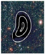   Very low temperature molecular clouds emit most of their light in which part of the electromagnetic spectrum? A)  the visible B)  the X-ray C)  the ultraviolet D)  the radio E)  the infrared
