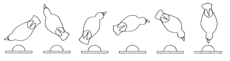 The figure below from your text illustrates _______.   A)  shaping B)  chaining C)  random behavior D)  secondary reinforcement