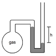 What is the pressure of the sample of gas trapped in the open-tube mercury manometer shown below if atmospheric pressure is 736 mmHg and h = 9.2 cm?   A) 92 mmHg B) 644 mmHg C) 736 mmHg D) 828 mmHg