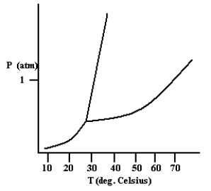 Based on the phase diagram shown below, which is more dense: the liquid phase or the solid phase?  