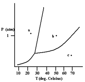 What phase exists at the point labeled a?  