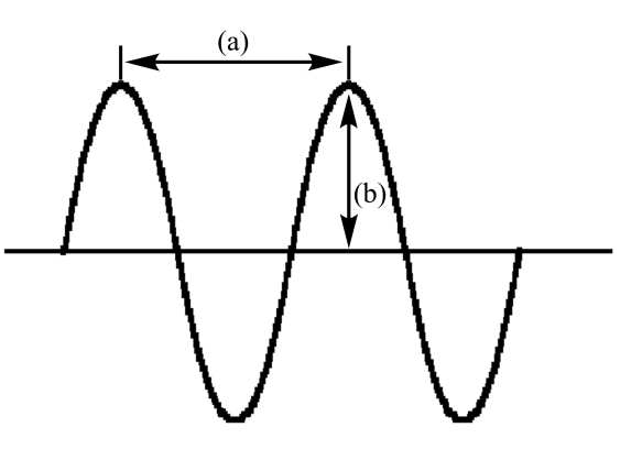 In the following diagram of a wave   A) (a) is amplitude and (b) is wavelength B) (a) is frequency and (b) is amplitude C) (a) is wavelength and (b) is frequency D) (a) is amplitude and (b) is frequency E) (a) is wavelength and (b) is amplitude