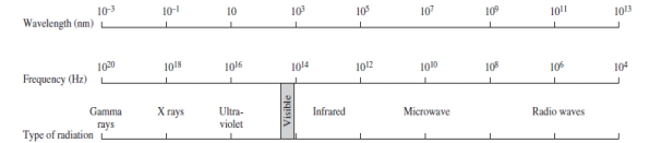 Using the figure below, categorize electromagnetic radiation with a wavelength of 1.0 x 10<sup>-3</sup> m.   A) Gamma rays B) X rays C) Ultraviolet D) Infrared E) Microwave