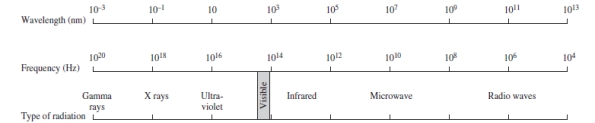 Using the figure below, categorize electromagnetic radiation with a wavelength of 1.0 x 10<sup>-1</sup> m.   A) Gamma rays B) X rays C) Ultraviolet D) Infrared E) Microwave