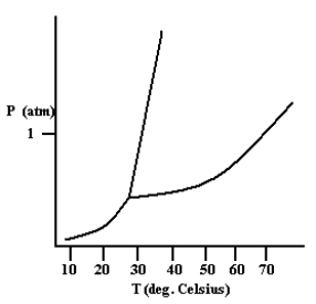 Based on the phase diagram shown below, how will the melting point of the substance change if the pressure is increased above 1 atm?   A) The melting point will decrease. B) The melting point will remain the same. C) The melting point will increase. D) The substance will not melt at pressures of 1 atm and above; instead, the solid sublimes to form the gas phase.