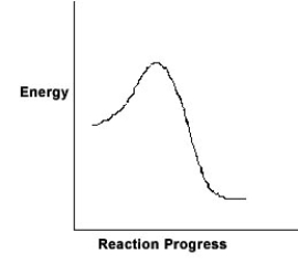 For the chemical reaction system described by the diagram below, which statement is true?   A) The forward reaction is endothermic. B) The activation energy for the forward reaction is greater than the activation energy for the reverse reaction. C) At equilibrium, the activation energy for the forward reaction is equal to the activation energy for the reverse reaction. D) The activation energy for the reverse reaction is greater than the activation energy for the forward reaction. E) The reverse reaction is exothermic.