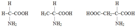 The following amino acids all have nonpolar side chains.  