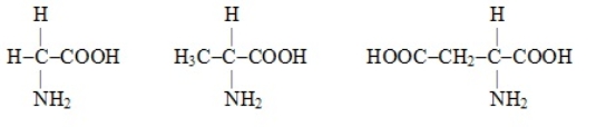 The following amino acids all have nonpolar side chains.  