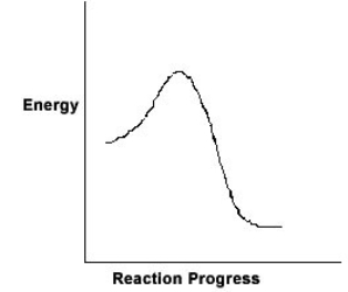 For the chemical reaction system described by the diagram below, which statement is true   A)  The forward reaction is endothermic. B)  The activation energy for the forward reaction is greater than the activation energy for the reverse reaction. C)  At equilibrium, the activation energy for the forward reaction is equal to the activation energy for the reverse reaction. D)  The activation energy for the reverse reaction is greater than the activation energy for the forward reaction. E)  The reverse reaction is exothermic.