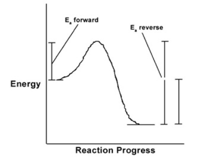  Nitric acid is formed by the gas-phase hydrolysis of N<sub>2</sub>O<sub>5</sub>. The energy profile curve for the reaction N<sub>2</sub>O<sub>5</sub> + H<sub>2</sub>O  \rarr 2HNO<sub>3</sub> is shown here. The reaction is endothermic and the activation energy of the reverse reaction is larger than for the forward reaction.   