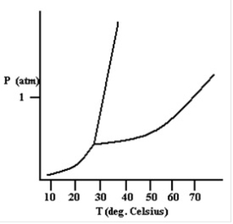 Based on the phase diagram shown below, how will the melting point of the substance change if the pressure is increased above 1 atm   A)  The melting point will decrease. B)  The melting point will remain the same. C)  The melting point will increase. D)  The substance will not melt at pressures of 1 atm and above; instead, the solid sublimes to form the gas phase.