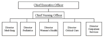 <strong>The illustration below identifies which type of chart? </strong> A) Productivity B) Organizational C) Resource D) Staffing