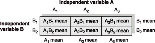 Use the following table to answer questions     -__________is the combination of levels of two or more independent variables. A)  Mean B)  Cell C)  Marginal mean D)  Cell mean Use the following to answer questions 38-43: An experiment was designed to determine if gender of the interviewer and the amount of eye contact by the interviewer will influence the participant's liking of an interviewer. Thus participants were randomly assigned to groups that had either a male or female interviewer who made little, moderate, or sustained eye contact. At the end of the sessions, the participants were asked to rate their liking of the interviewer.