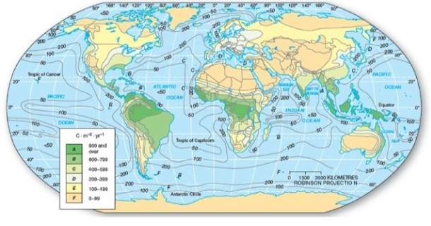   In which of the following areas would one tend to find the highest net primary productivity? A) Northern Brazil. B) Central Australia. C) Western Canada. D) Eurasia.